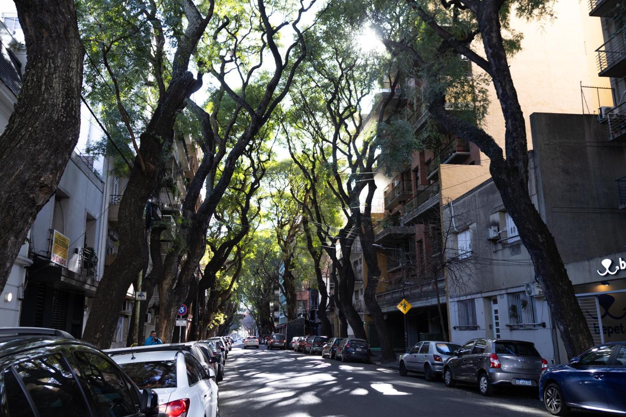 Palermo Soho G4827 - Departamentos Modernos, Amplios Y Luminosos Apartment Buenos Aires Bagian luar foto